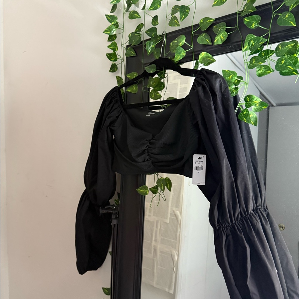 Express Black Crop Top